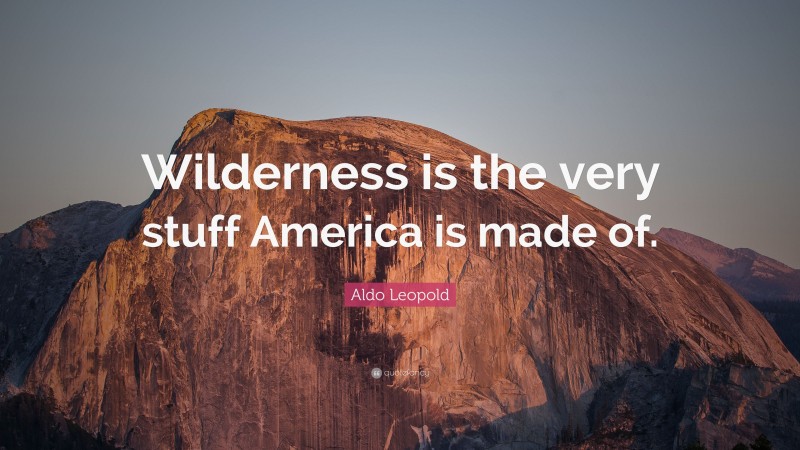 Aldo Leopold Quote: “Wilderness is the very stuff America is made of.”