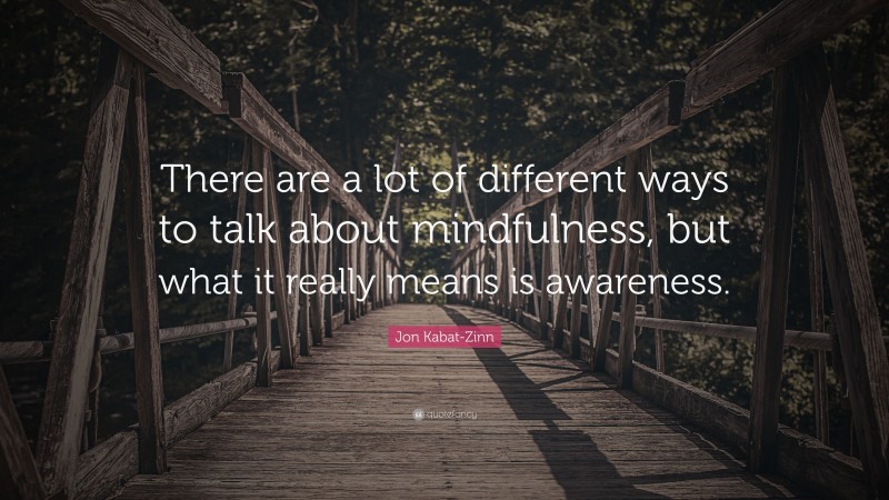 Jon Kabat-Zinn Quote: “There are a lot of different ways to talk about mindfulness, but what it really means is awareness.”