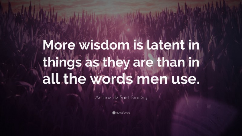 Antoine de Saint-Exupéry Quote: “More wisdom is latent in things as they are than in all the words men use.”