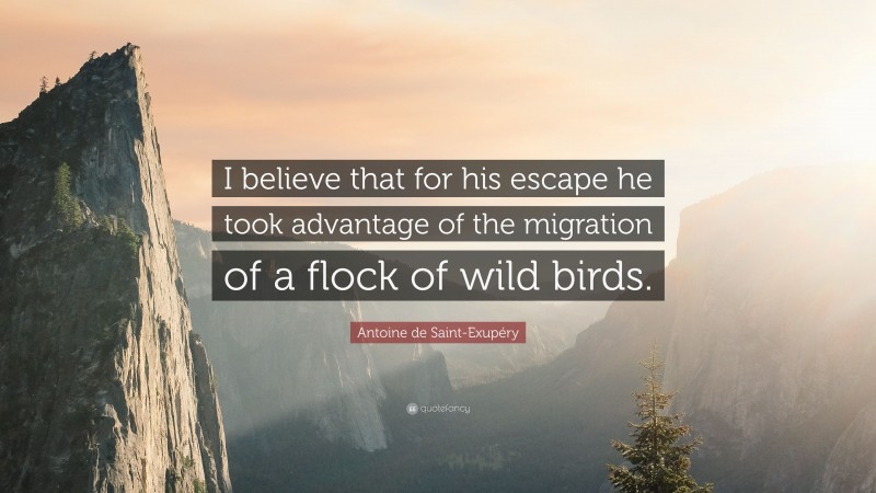 Antoine de Saint-Exupéry Quote: “I believe that for his escape he took advantage of the migration of a flock of wild birds.”