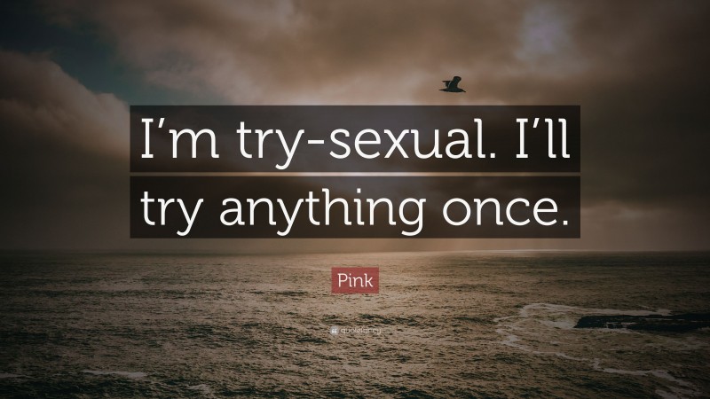 Pink Quote: “I’m try-sexual. I’ll try anything once.”