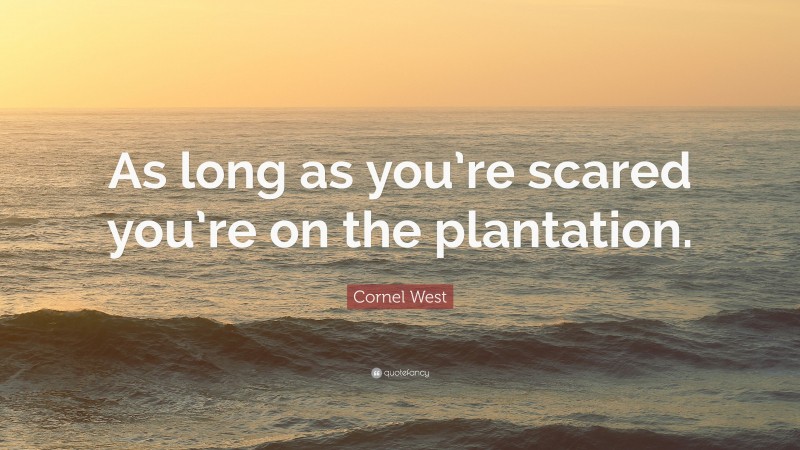 Cornel West Quote: “As long as you’re scared you’re on the plantation.”