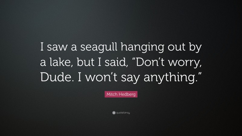 Mitch Hedberg Quote: “I saw a seagull hanging out by a lake, but I said, “Don’t worry, Dude. I won’t say anything.””