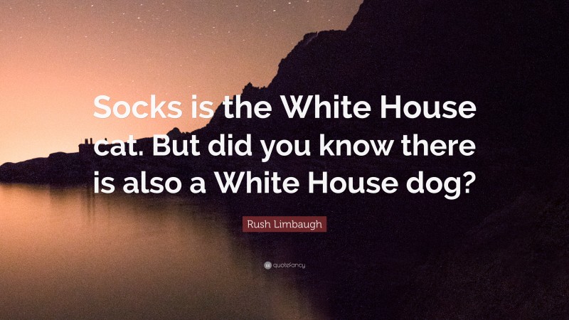 Rush Limbaugh Quote: “Socks is the White House cat. But did you know there is also a White House dog?”