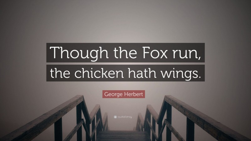 George Herbert Quote: “Though the Fox run, the chicken hath wings.”