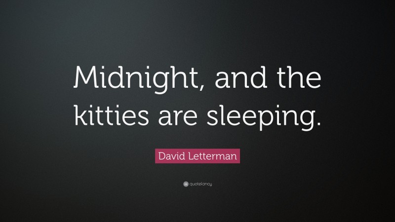 David Letterman Quote: “Midnight, and the kitties are sleeping.”