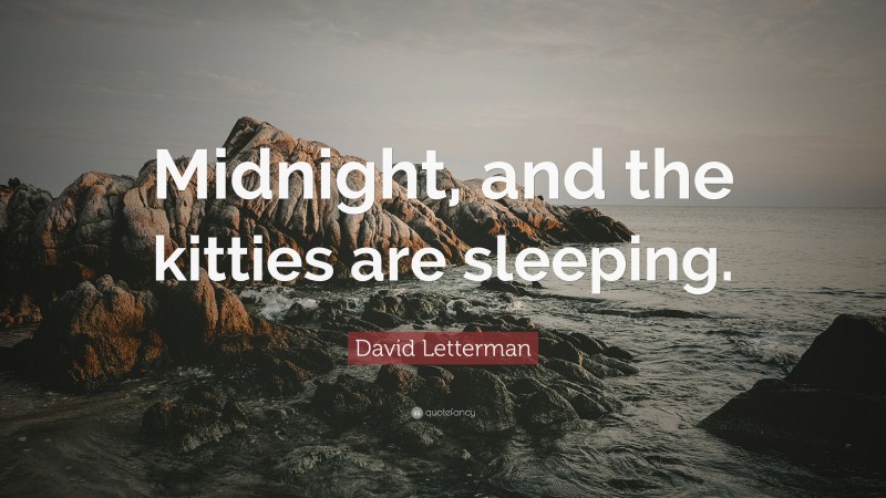 David Letterman Quote: “Midnight, and the kitties are sleeping.”
