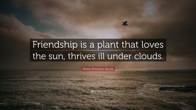 Amos Bronson Alcott Quote: “Friendship is a plant that loves the sun, thrives ill under clouds.”