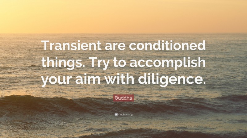 Buddha Quote: “Transient are conditioned things. Try to accomplish your aim with diligence.”