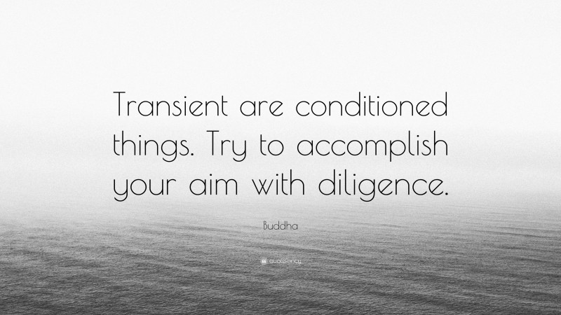 Buddha Quote: “Transient are conditioned things. Try to accomplish your aim with diligence.”