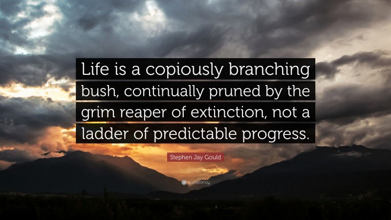Stephen Jay Gould Quote: “Life is a copiously branching bush, continually pruned by the grim reaper of extinction, not a ladder of predictable progress.”