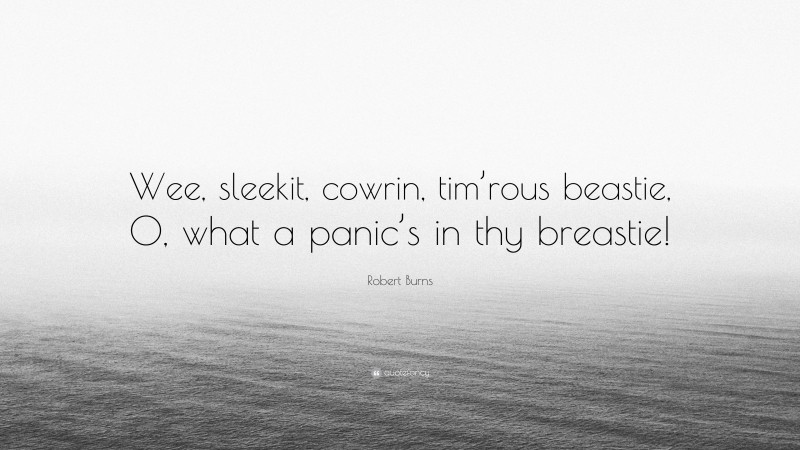 Robert Burns Quote: “Wee, sleekit, cowrin, tim’rous beastie, O, what a panic’s in thy breastie!”
