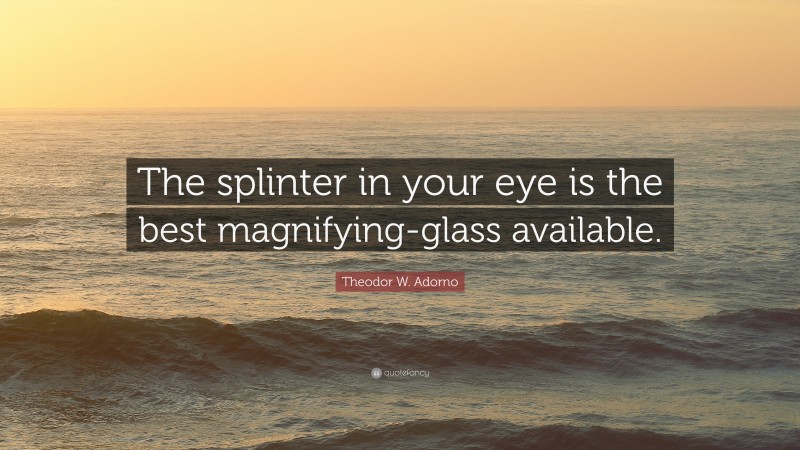 Theodor W. Adorno Quote: “The splinter in your eye is the best magnifying-glass available.”