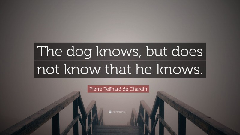 Pierre Teilhard de Chardin Quote: “The dog knows, but does not know that he knows.”