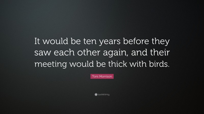 Toni Morrison Quote: “It would be ten years before they saw each other again, and their meeting would be thick with birds.”
