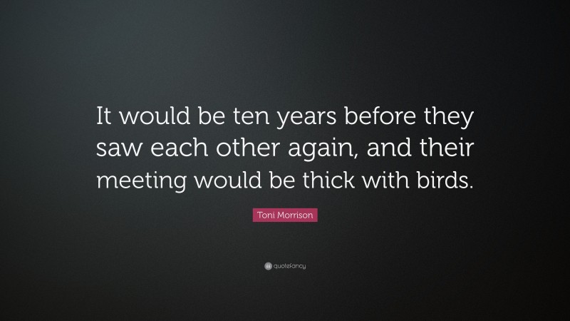 Toni Morrison Quote: “It would be ten years before they saw each other again, and their meeting would be thick with birds.”