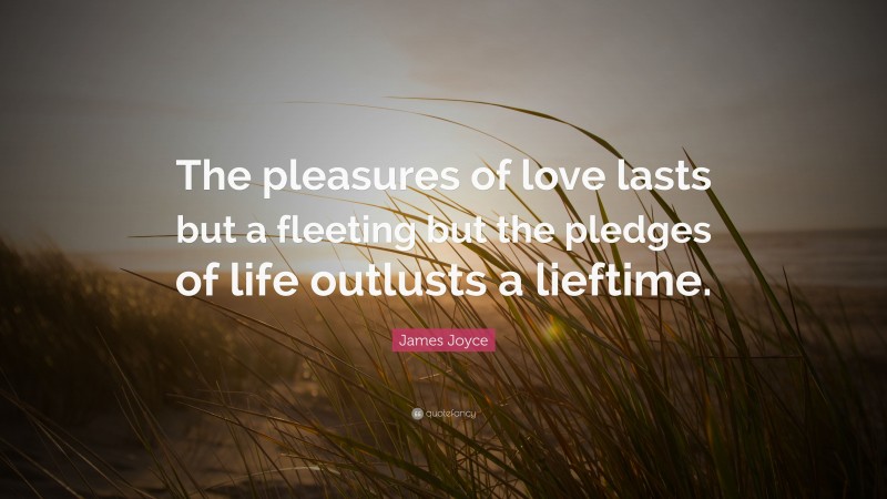 James Joyce Quote: “The pleasures of love lasts but a fleeting but the pledges of life outlusts a lieftime.”