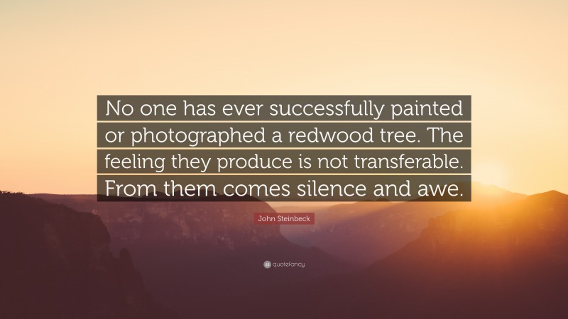John Steinbeck Quote: “No one has ever successfully painted or photographed a redwood tree. The feeling they produce is not transferable. From them comes silence and awe.”