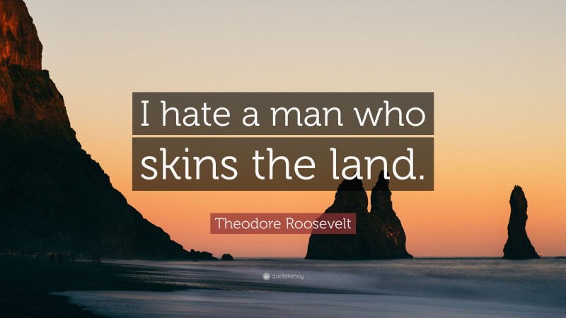 Theodore Roosevelt Quote: “I hate a man who skins the land.”