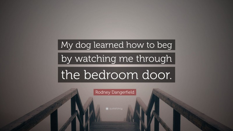 Rodney Dangerfield Quote: “My dog learned how to beg by watching me through the bedroom door.”