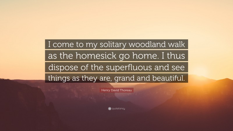 Henry David Thoreau Quote: “I come to my solitary woodland walk as the homesick go home. I thus dispose of the superfluous and see things as they are, grand and beautiful.”