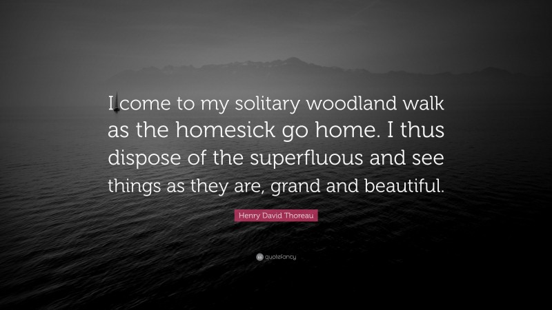 Henry David Thoreau Quote: “I come to my solitary woodland walk as the homesick go home. I thus dispose of the superfluous and see things as they are, grand and beautiful.”