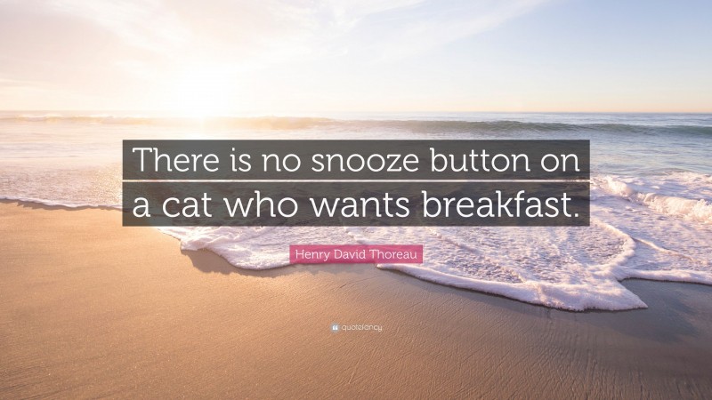 Henry David Thoreau Quote: “There is no snooze button on a cat who wants breakfast.”
