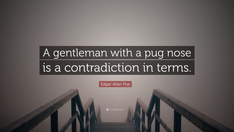Edgar Allan Poe Quote: “A gentleman with a pug nose is a contradiction in terms.”