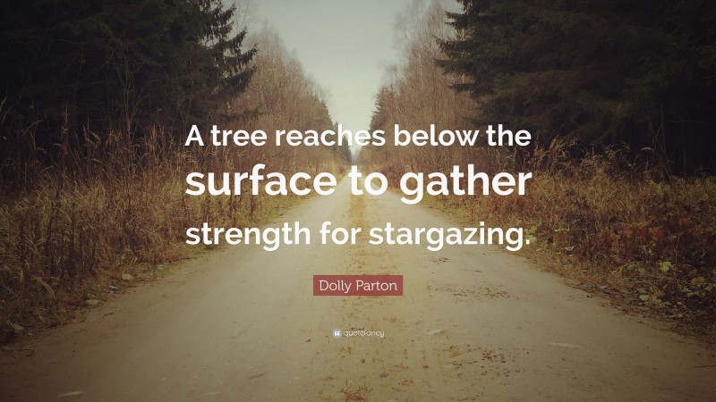 Dolly Parton Quote: “A tree reaches below the surface to gather strength for stargazing.”