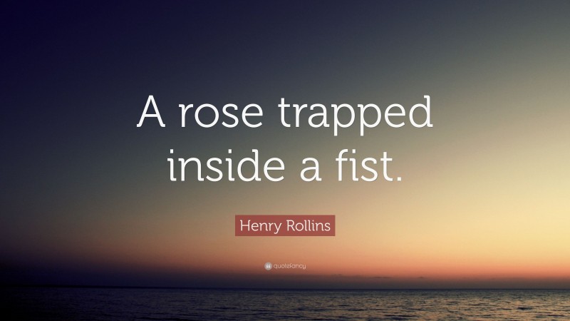 Henry Rollins Quote: “A rose trapped inside a fist.”