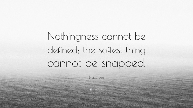Bruce Lee Quote: “Nothingness cannot be defined; the softest thing cannot be snapped.”