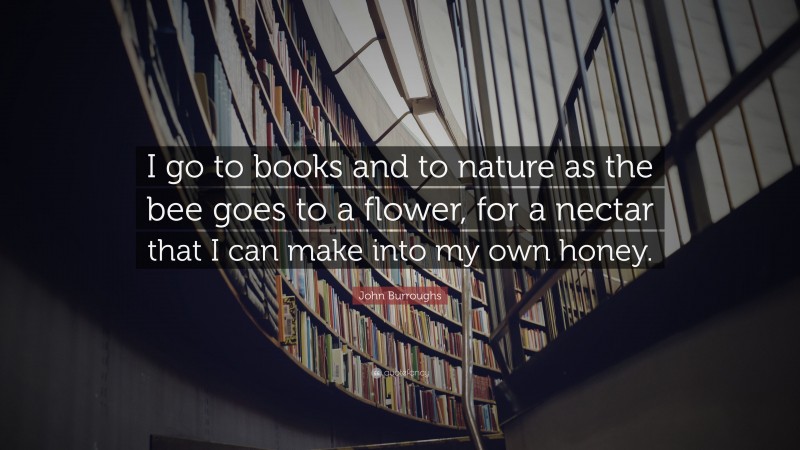 John Burroughs Quote: “I go to books and to nature as the bee goes to a flower, for a nectar that I can make into my own honey.”