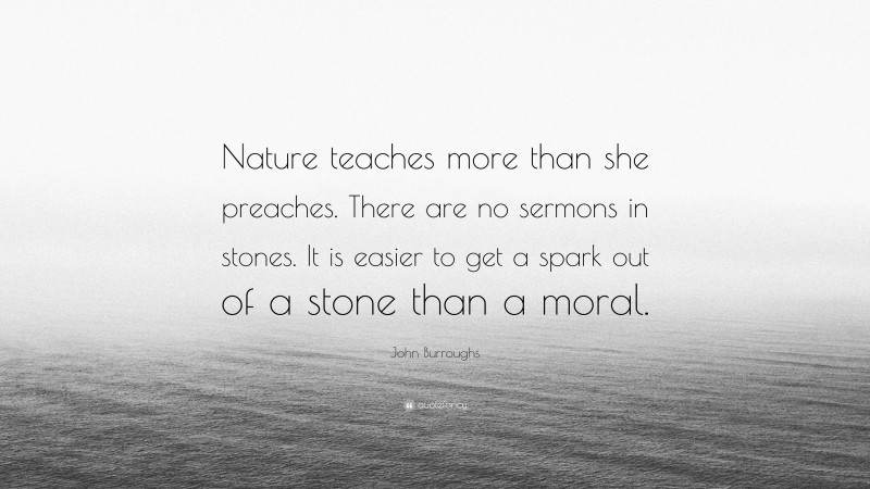 John Burroughs Quote: “Nature teaches more than she preaches. There are no sermons in stones. It is easier to get a spark out of a stone than a moral.”