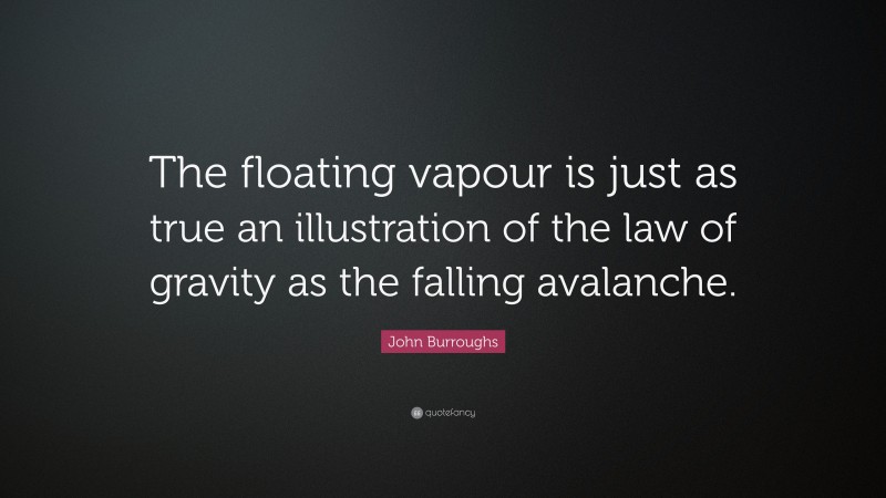 John Burroughs Quote: “The floating vapour is just as true an illustration of the law of gravity as the falling avalanche.”