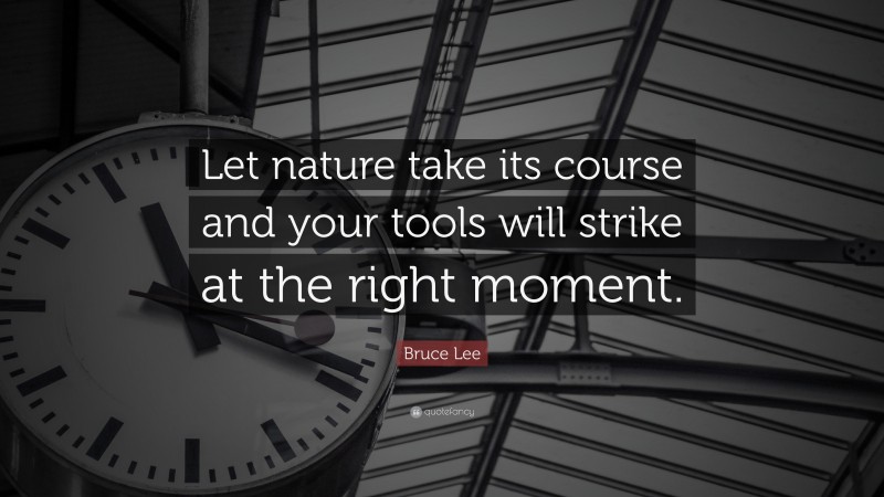 Bruce Lee Quote: “Let nature take its course and your tools will strike at the right moment.”