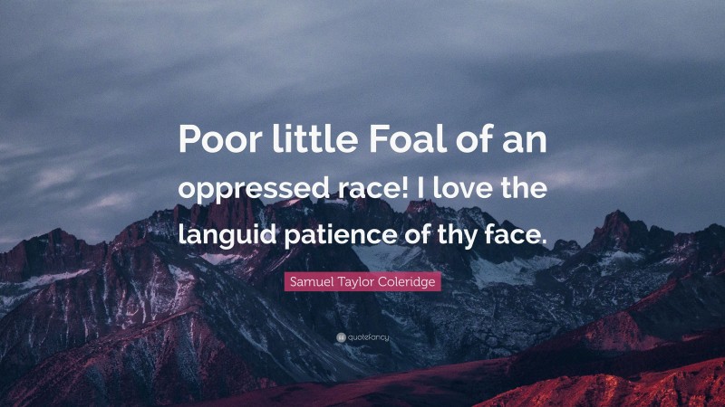 Samuel Taylor Coleridge Quote: “Poor little Foal of an oppressed race! I love the languid patience of thy face.”