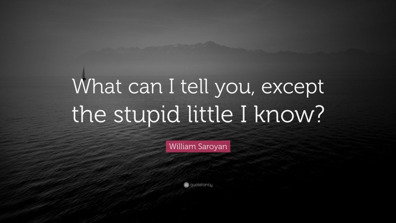 William Saroyan Quote: “What can I tell you, except the stupid little I know?”