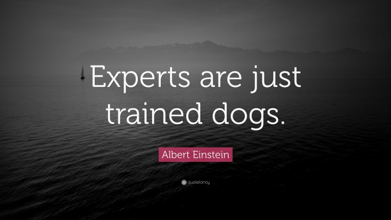 Albert Einstein Quote: “Experts are just trained dogs.”