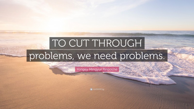 Yongey Mingyur Rinpoche Quote: “TO CUT THROUGH problems, we need problems.”