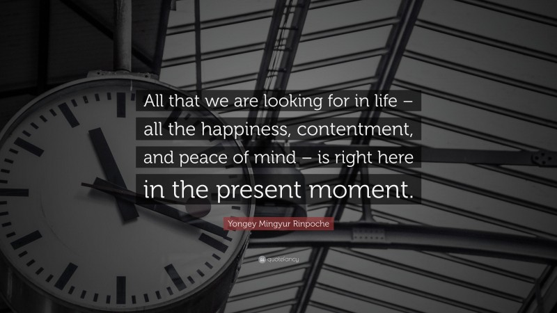 Yongey Mingyur Rinpoche Quote: “All that we are looking for in life – all the happiness, contentment, and peace of mind – is right here in the present moment.”