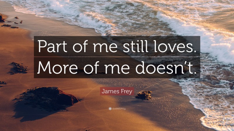 James Frey Quote: “Part of me still loves. More of me doesn’t.”