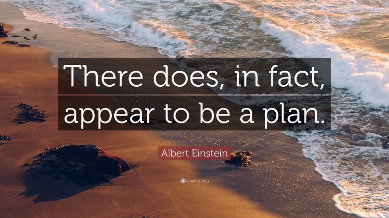Albert Einstein Quote: “There does, in fact, appear to be a plan.”