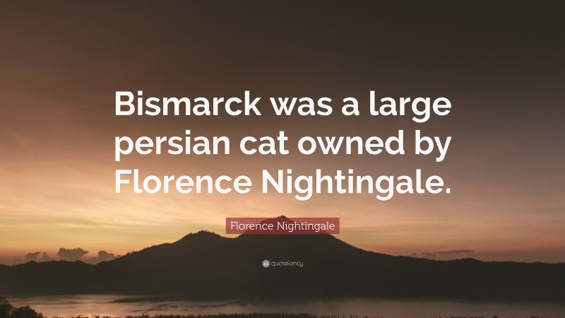 Florence Nightingale Quote: “Bismarck was a large persian cat owned by Florence Nightingale.”