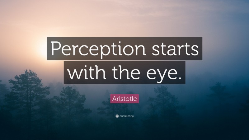 Aristotle Quote: “Perception starts with the eye.”