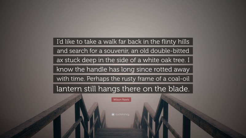 Wilson Rawls Quote: “I’d like to take a walk far back in the flinty hills and search for a souvenir, an old double-bitted ax stuck deep in the side of a white oak tree. I know the handle has long since rotted away with time. Perhaps the rusty frame of a coal-oil lantern still hangs there on the blade.”
