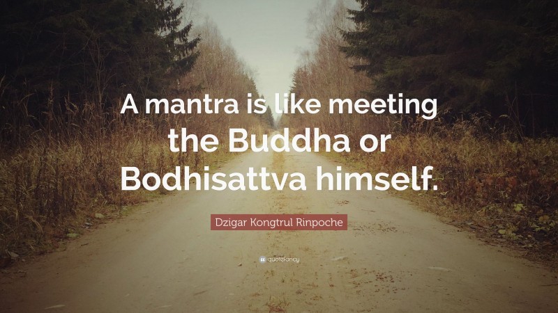 Dzigar Kongtrul Rinpoche Quote: “A mantra is like meeting the Buddha or Bodhisattva himself.”