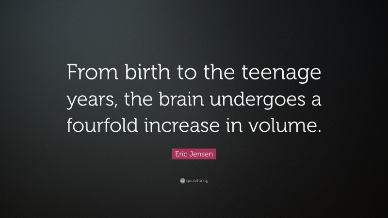 Eric Jensen Quote: “From birth to the teenage years, the brain undergoes a fourfold increase in volume.”