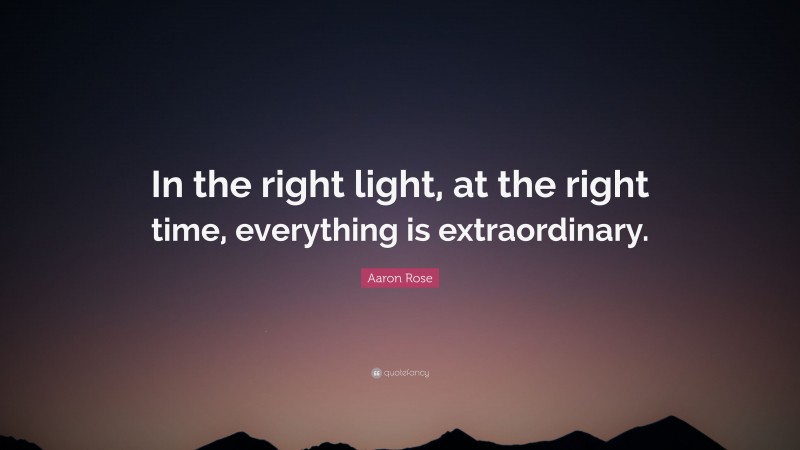 Aaron Rose Quote: “In the right light, at the right time, everything is extraordinary.”