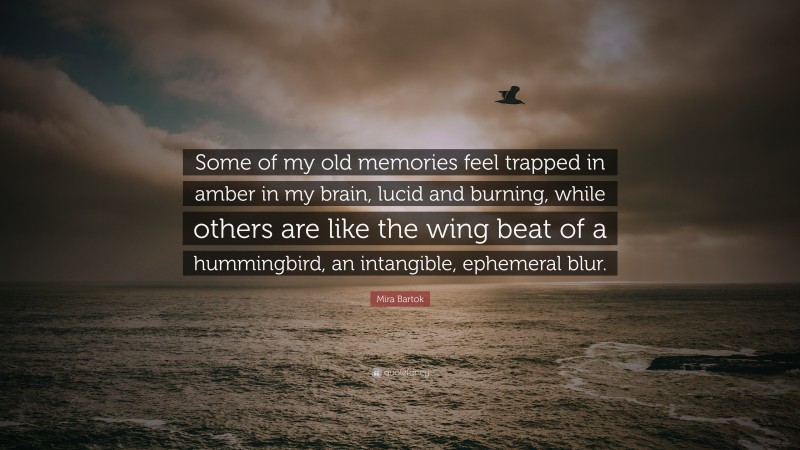 Mira Bartok Quote: “Some of my old memories feel trapped in amber in my brain, lucid and burning, while others are like the wing beat of a hummingbird, an intangible, ephemeral blur.”