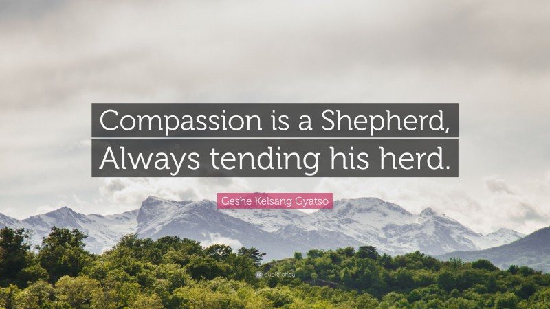 Geshe Kelsang Gyatso Quote: “Compassion is a Shepherd, Always tending his herd.”